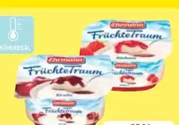 Edeka Ehrmann Früchte-Traum Erdbeere Angebot
