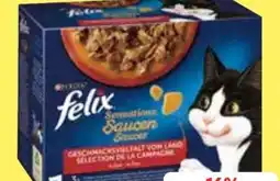 Edeka Purina Felix Sensations Sauce Angebot