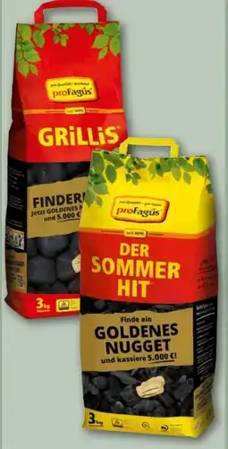 REWE proFagus Sommerhit Buchenholzkohle Angebot
