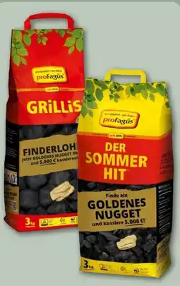 REWE Center proFagus Grill-Holzkohle Angebot