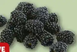 REWE Rewe Beste Wahl Brombeeren Angebot