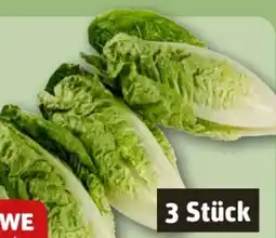 REWE Rewe Beste Wahl Romana Salatherzen Angebot