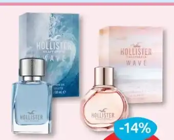 Budni Hollister Wave EdT Angebot