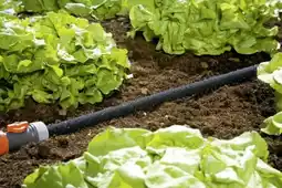 Globus Baumarkt Gardena Perlregner Angebot
