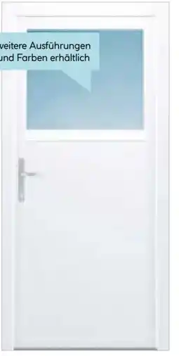 Hellweg Kunststoff Nebeneingangstür Angebot