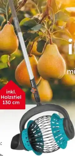 Globus Baumarkt Gardena Combisystem-Rollsammler Angebot