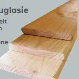 Globus Baumarkt Brett Douglasie Angebot