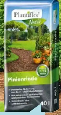 Hellweg Plantiflor Pinienrinde Angebot
