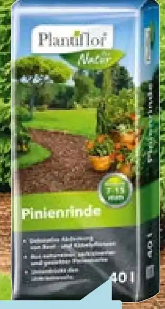 Hellweg Plantiflor Pinienrinde Angebot