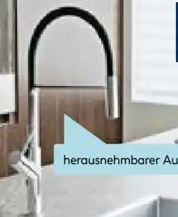 Hellweg Valblue Spültischarmatur Cannes Angebot