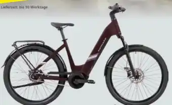 Globus Baumarkt Zündapp E-Bike City X800 Angebot