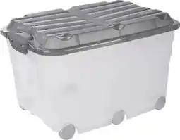 Globus Baumarkt Rotho Aufbewahrungsboxen Angebot
