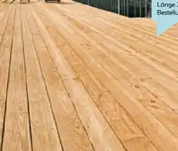 Hellweg Douglasien-Terrassendiele Angebot