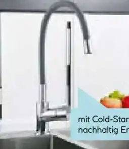 Hellweg Valblue Spültischarmatur Motus Angebot