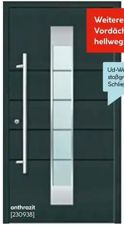 Hellweg Sicherheitshaustür Turin Exklusive Angebot