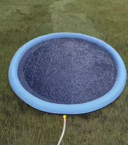 Globus Baumarkt Splashpool für Hunde Angebot