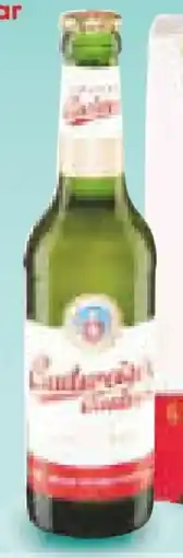 Netto Marken-Discount Budweiser Budvar (CZ) Original Czech Angebot