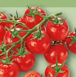REWE Rewe Beste Wahl Mini Cherry Rispentomaten Delizioso Angebot