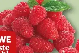 REWE Rewe Beste Wahl Frische Himbeeren Angebot