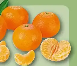 REWE Rewe Beste Wahl Mandarinen Angebot