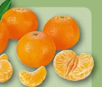 REWE Rewe Beste Wahl Mandarinen Angebot