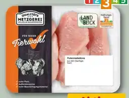REWE Metzgerei Wilhelm Brandenburg Puten-Medaillons Angebot