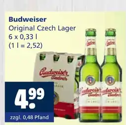 Getränkewelt Budweiser original czech lager Angebot