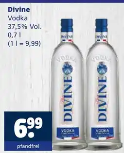 Getränkewelt Divine vodka Angebot