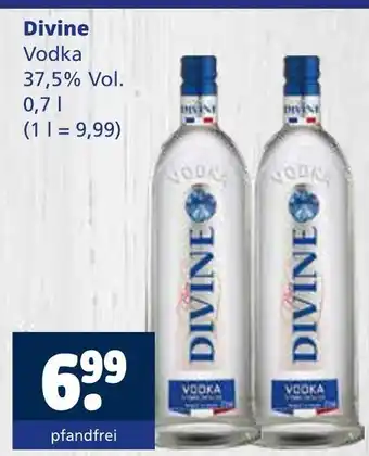 Getränkewelt Divine vodka Angebot