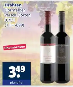 Getränkewelt Drahten dornfelder Angebot
