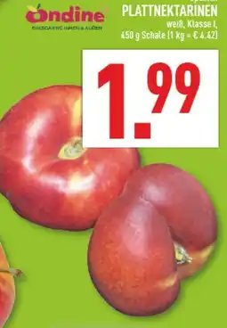 Marktkauf Ondine plattnektarinen Angebot