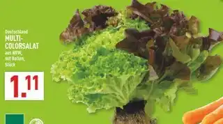 Marktkauf Multicolorsalat Angebot