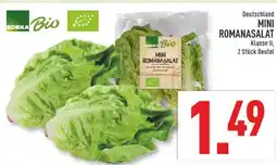Marktkauf Edeka mini romanasalat Angebot