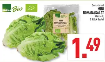 Marktkauf Edeka mini romanasalat Angebot