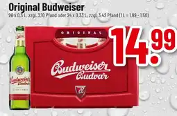 trinkgut Budweiser original budweiser Angebot