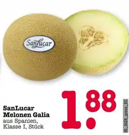 E-Center Sanlucar melonen galia Angebot