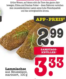 E-Center Lammlachse Angebot