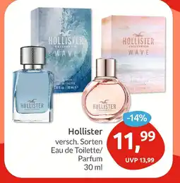 E-Center Hollister eau de toilette Angebot
