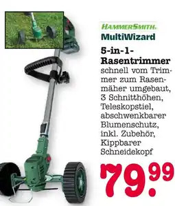 E-Center Hammersmith multiwizard 5-in-1 rasentrimmer Angebot