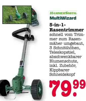 E-Center Hammersmith multiwizard 5-in-1 rasentrimmer Angebot