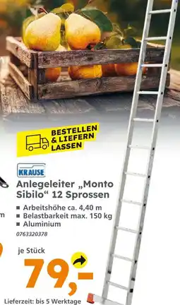 Globus Baumarkt Krause anlegeleiter monto sibilo 12 sprossen Angebot