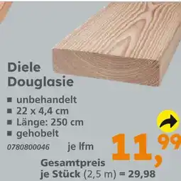 Globus Baumarkt Diele douglasie Angebot