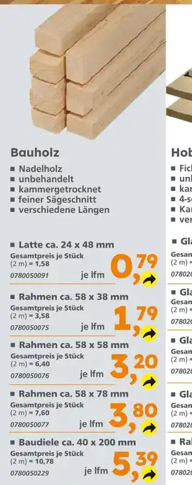 Globus Baumarkt Latte ca. 24 x 48 mm Angebot