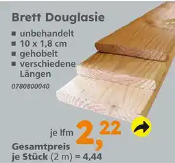 Globus Baumarkt Brett douglasie Angebot