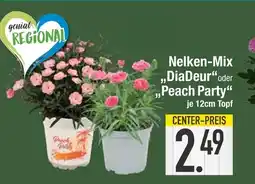 Edeka Nelken-mix diadeur Angebot