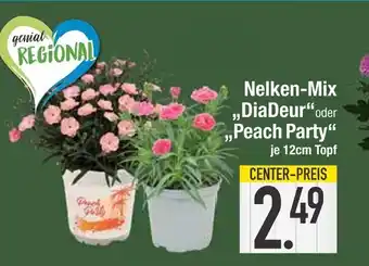 Edeka Nelken-mix diadeur Angebot