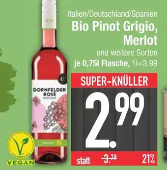 Edeka Bio pinot grigio Angebot