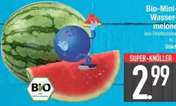 Edeka Mini-wassermelone Angebot