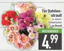 Edeka 7er dahlienstrauß Angebot