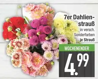 Edeka 7er dahlienstrauß Angebot
